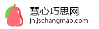 慧心巧思网